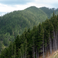 2025 11 18 The Post v2