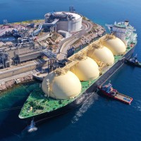 2026 02 24 herald website