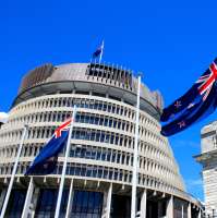 2026 03 06 herald website