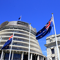 Beehive with flag16