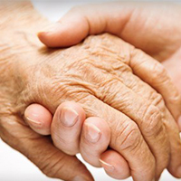 Hands v2