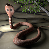 cobra