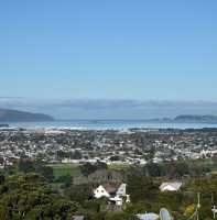 website lower hutt v2