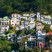 website wellington mt vic